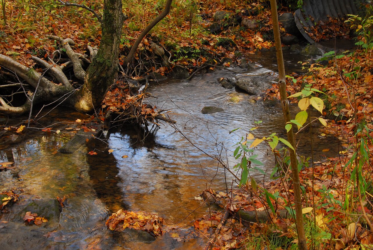 Rouge National Urban Park